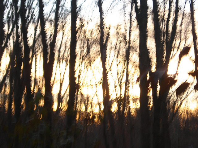 Autumn Offering Poems by Sonia Joie
