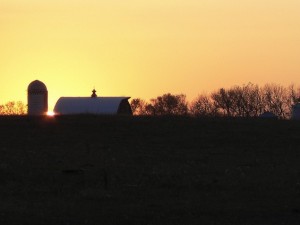 Farm Poetry