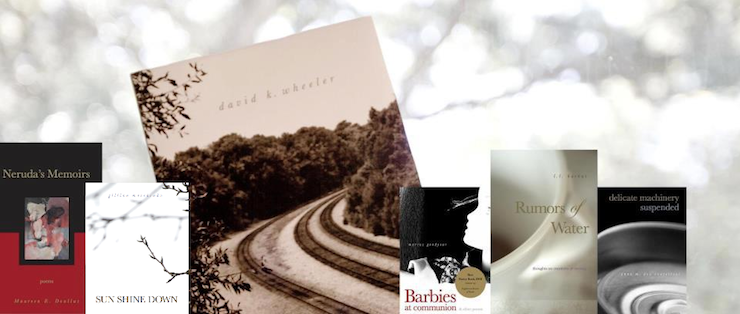 TSPP Books Banner 740