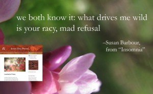Every Day Poems coy ad