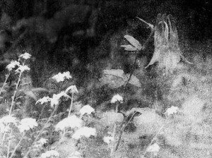 t.s. eliot's four quartets