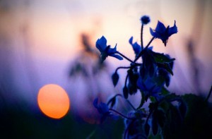 inspired poetry prompt book