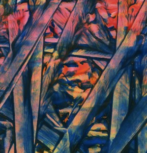 poetry of injury