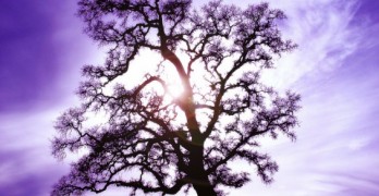 teaching poetry to children