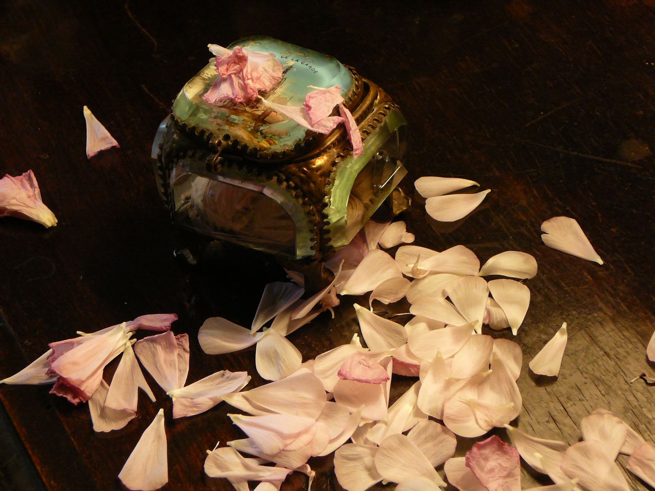 Valediction Forbidding Mourning Petals photo