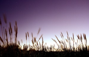 fiction friday the breaking