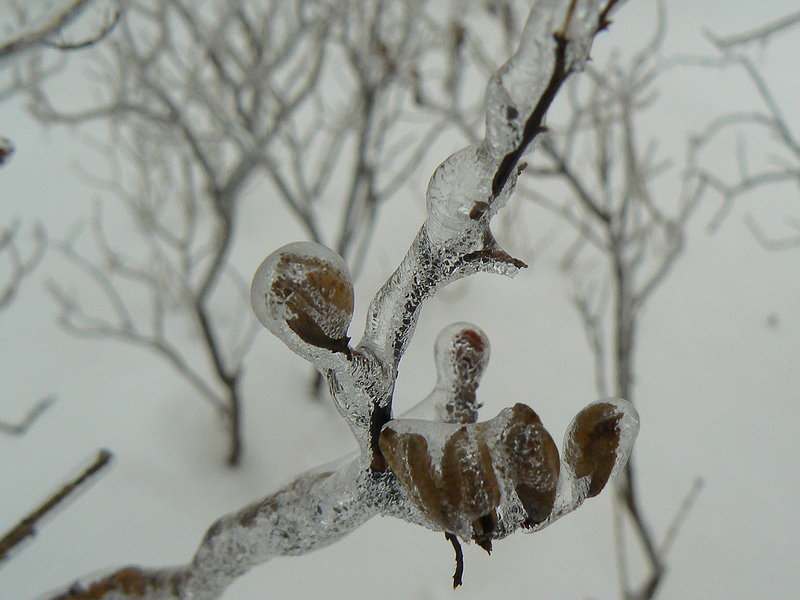 artist date freezing rain 2