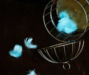 Bird Cage Poetry