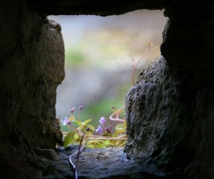 Story Beginning 2 by Claire Burge
