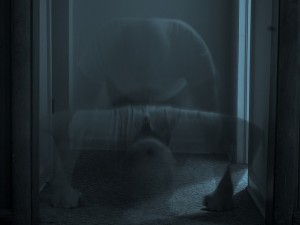 poemcrazy push-up
