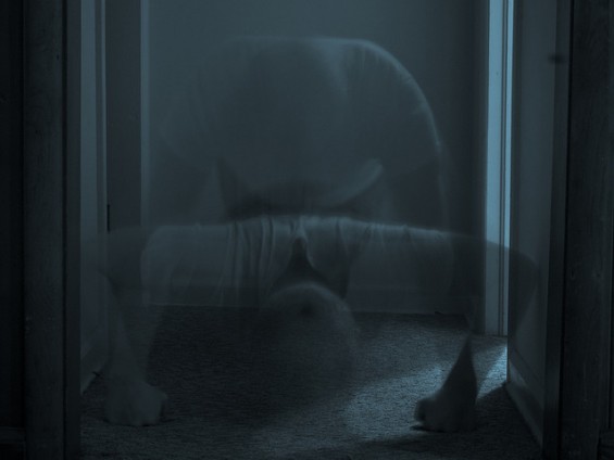 poemcrazy push-up