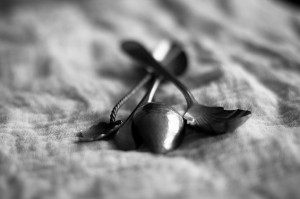 spoons book