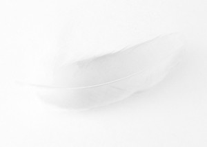 on reflection poetry
