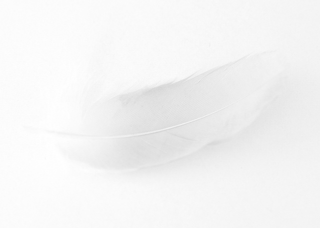 on reflection poetry