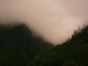 poetry fog by gmeaders_ch