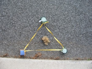 Barbie Crime Story-6