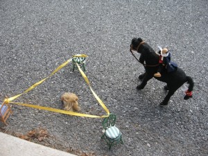 Barbie Crime Story-7