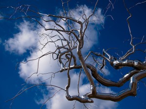 National-Gallery-of-Art-Sculpture-Garden