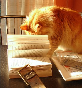 top ten poetry picks