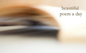 Best Poem a Day