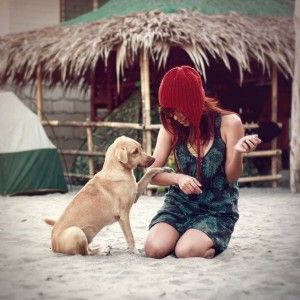 Is Poetry Going to the Dogs?