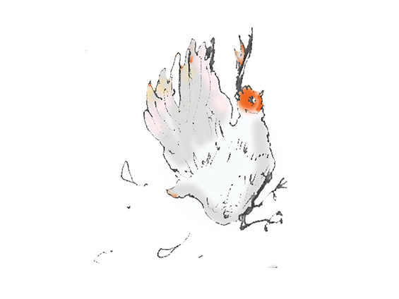 spin chicken creativity