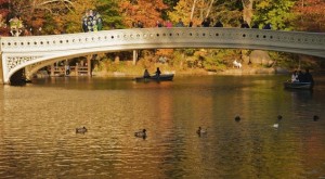 New York City Central Park Poetry