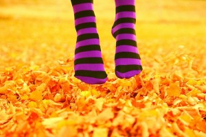 Poetry Party Striped Socks Fall Leaves