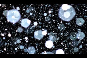 Night poems Stopping By Woods on a Snowy Evening Robert Frost