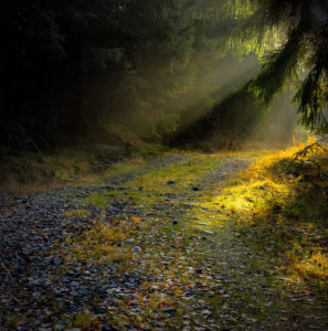 October Path