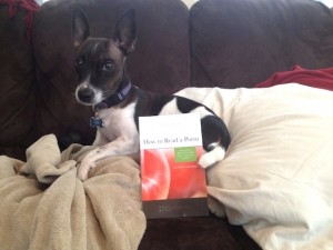 Toby and How to Read a Poem 565
