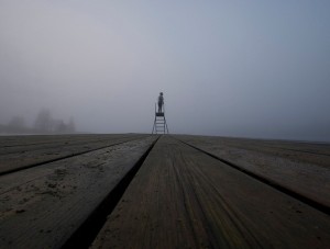 Poets and Poems: Amy Billone’s “The Light Changes