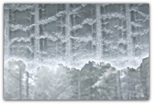 Patterns Out