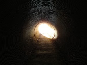 Julia Pfeiffer Burns State Park Tunnel Big Sur