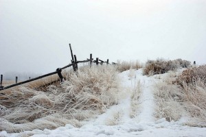 Poetry Classroom Winter Scene