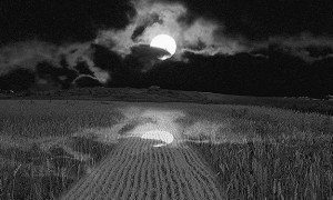 moon poems