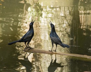 twitter poetry top ten poetic tweets