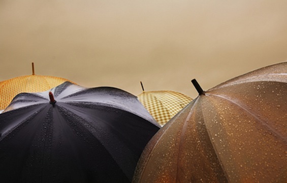 Best Poem a Day Poetry Daily Umbrellas