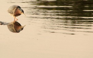 twitter poems top ten poetic tweets