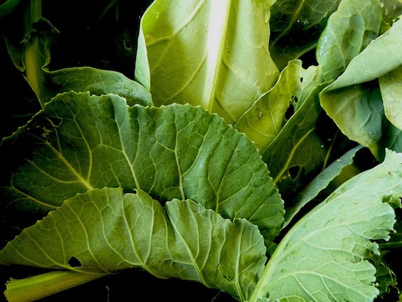 Collard Eating And Drinking Poems-1