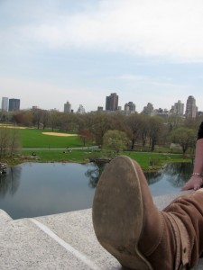 Cowboy Boot Turtle Pond Central Park