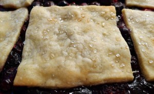 blackberry cobbler william stafford