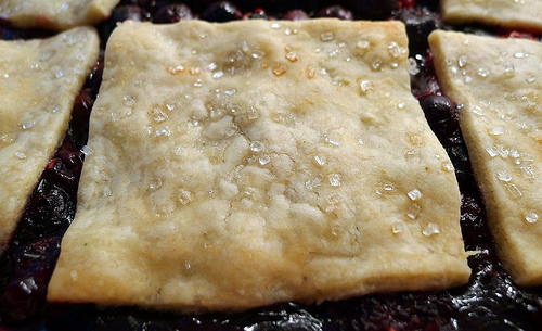 blackberry cobbler william stafford