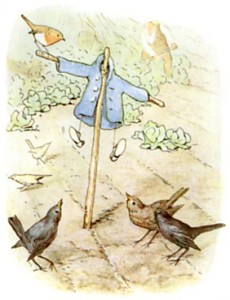peter rabbit blue jacket