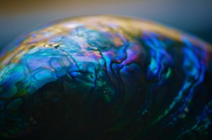 Portrait of a Shell