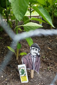 Neruda red hot chili pepper