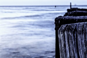 progression of a writing life risk