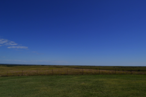 Willa Cather Memorial Prairie Tweetspeak Poetry Literary Tour