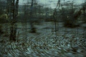 Poem-Analysis-Anne-Sextons-Her-Kind-Forest-Evocative