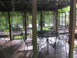 Summer Trellis Space